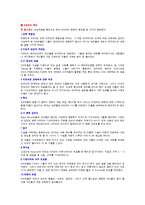 [소비자행동론] N세대의 모든 것-3