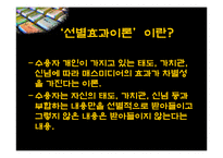 [미디어법] 최진실법 관련 기사를 통해 본 선별효과이론 검토-3