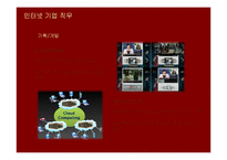 [직업] 인터넷 기업 직업조사-7