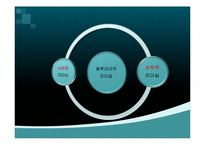 알렉산더 vs 람세스2세 리더쉽비교-11