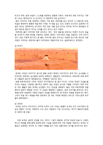 [영화작품분석] 영화 `영웅` 분석-16