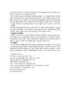 [독일문화] 독일인의 생활문화-12