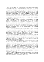 [이탈리아 희곡연구] 탈춤과 Commedia dell`arte-3