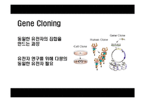 [응용생물학] 클로닝(Cloning)-5