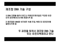 [응용생물학] 클로닝(Cloning)-8