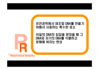 [응용생물학] 클로닝(Cloning)-11