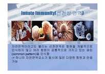 물리화학적 시각으로 바라본 면역(Immunity)-4
