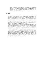 [인터넷마케팅] 블리자드(Blizzard) 성공사례분석-11