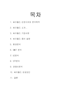 [인터넷마케팅] 싸이월드 성공사례-2