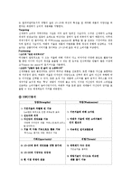 일본 히트상품 `여배우의 거울` 마케팅전략-6