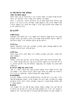 일본 히트상품 `여배우의 거울` 마케팅전략-7