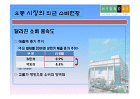 현대백화점 기업분석-4