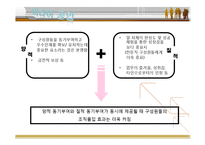 [경영조직론] 미라이 공업 조직문화-20