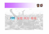 [서비스마케팅] 보령 머드축제 마케팅-3
