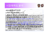 [서비스마케팅] 보령 머드축제 마케팅-8