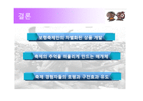 [서비스마케팅] 보령 머드축제 마케팅-20