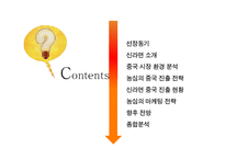 [국제경영론] 농심 신라면 중국진출사례-2