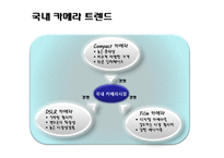 [광고론] Nikon 니콘 광고기획서-5