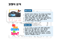 [광고론] Nikon 니콘 광고기획서-10
