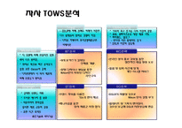 [광고론] Nikon 니콘 광고기획서-13