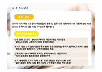 [조직구조론] P&G 조직구조분석-3