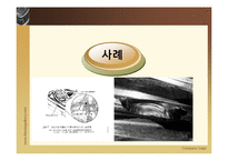 [재료과학] 균열과 요소의 피로-6