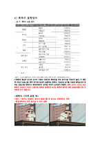 [커뮤니케이션조사론] 지상파 텔레비전의 어린이 프로그램에 나타난 폭력성 연구-15