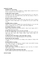 [인권 국제기구] 국제앰네스티 조사-5