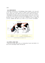 미국산 쇠고기 수입 찬성 -정부 측 입장-9