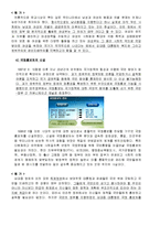 [한국의 행정문화] 국민의 정부와 참여정부의 행정문화의 비교 및 평가-13