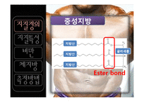 [웨이트] 체지방 관리식단-5
