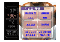 [웨이트] 체지방 관리식단-8