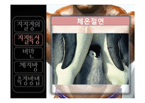 [웨이트] 체지방 관리식단-12