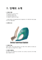 [간호학] 아체 쓰나미 복구 프로젝트-2