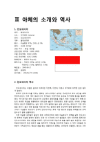 [간호학] 아체 쓰나미 복구 프로젝트-3