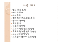 식품미생물학 실험-2
