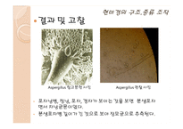 식품미생물학 실험-9
