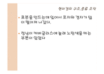 식품미생물학 실험-10