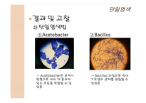 식품미생물학 실험-14