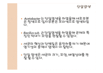 식품미생물학 실험-15