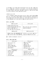 [마케팅] [마케팅]디지털카메라 ‘삼성케녹스’ 마케팅전략 및 성공요인 분석(A+리포트)-13