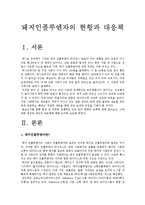 [돼지인플루엔자SI]돼지인플루엔자SI의 현황과 대응책-돼지독감SI--2