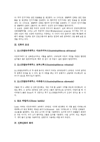 [인류진화, 인류조상, 인류진화의 화석, 인류진화과정, 인종] 인류진화의 원리, 인류의 조상, 인류진화의 화석, 인류진화의 과정, 인류진화와 인종에 관한 분석-3