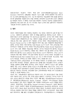 [장애인소득보장] 장애인소득보장제도(장애인소득보장정책)의 종류, 장애인소득보장제도(장애인소득보장정책)의 현황, 선진국 장애인소득보장제도(장애인소득보장정책) 사례, 향후 장애인소득보장제도(장애인소득보장정책)의 발전방향 분석-8