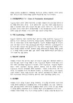 [레지오에밀리아접근법] 레지오에밀리아교육(접근법)의 원리와 특징, 레지오에밀리아교육(접근법)의 구성주의 이론, 레지오에밀리아교육(접근법)의 내용과 활동, 레지오에밀리아교육(접근법)의 구축과 가치 및 효과 분석-9