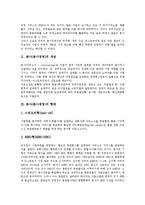 [분사경영, 아웃소싱] 분사(분사경영)의 개념, 분사(분사경영)의 형태, 분사(분사경영)의 필요성, 분사(분사경영)의 목적, 분사(분사경영)의 절차, 분사(분사경영)의 사례, 분사(분사경영)의 문제점과 대응방안 분석-3