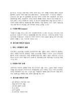 [분사경영, 아웃소싱] 분사(분사경영)의 개념, 분사(분사경영)의 형태, 분사(분사경영)의 필요성, 분사(분사경영)의 목적, 분사(분사경영)의 절차, 분사(분사경영)의 사례, 분사(분사경영)의 문제점과 대응방안 분석-5