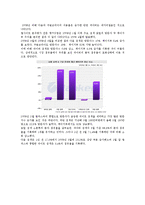 [마케팅원론] 다음의 성공전략-5