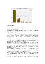 [마케팅원론] 다음의 성공전략-6