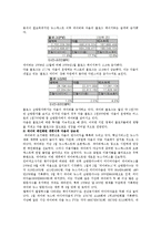 [마케팅원론] 다음의 성공전략-8